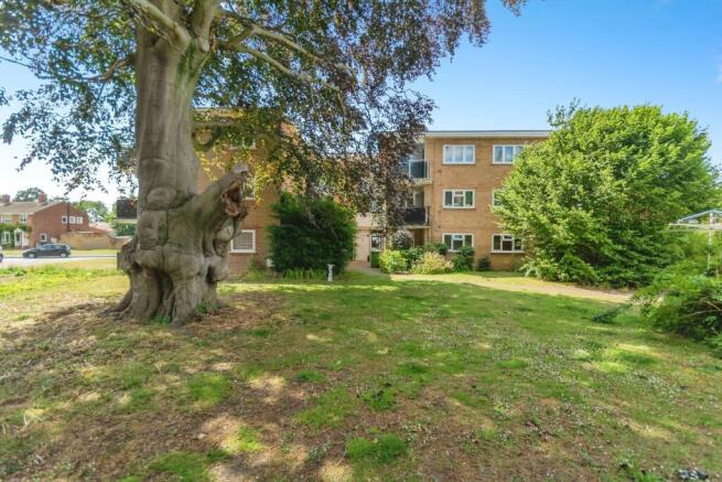 Communal Garden 2.jpg