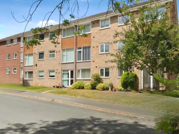 user_edited_photo-50dd0e87_user-edited-efde5ad5-8f