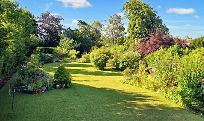 View Towards Site