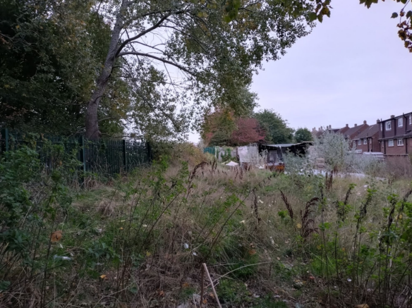 The Site from Access Road