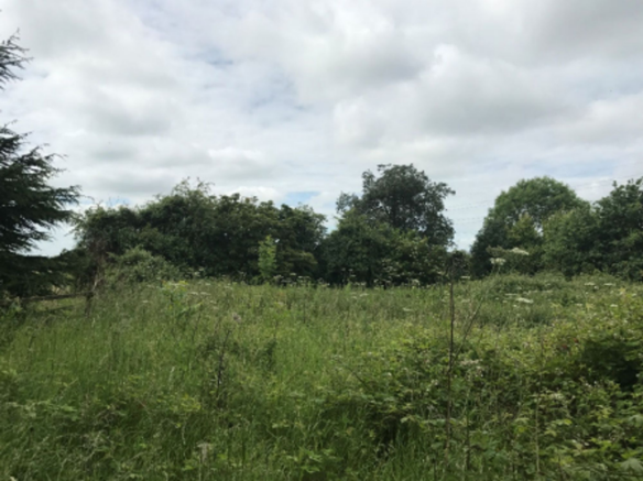 Proposed Southern Boundary Of Site