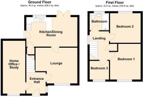 20 pine close.jpeg