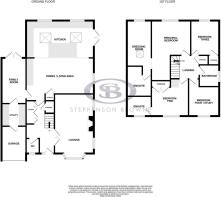 7RobinClose-High.jpg