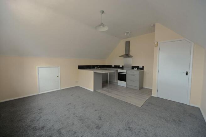 Kitchen/ Living Room