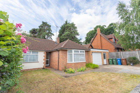 Blackmoor Wood, Ascot, Berkshire, SL5 8EN