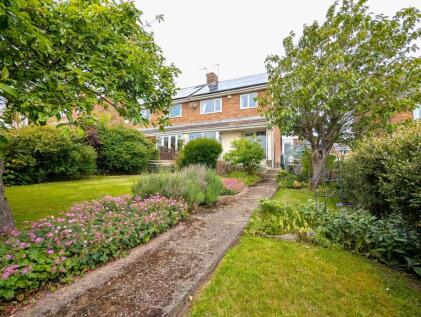 Plunkett Terrace, Pelton Fell, DH2