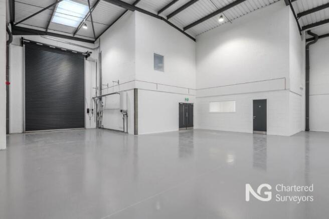 U8 Robin HoodLow2.jpg