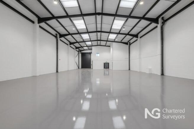 U8 Robin HoodLow8.jpg