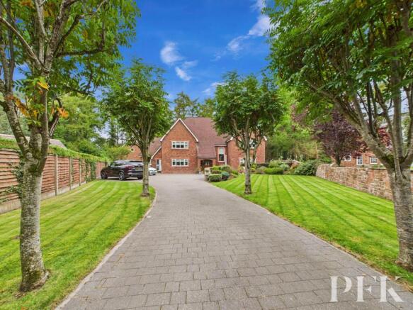Tree lined driveway approach