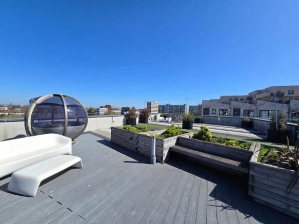 Communal Rooftop