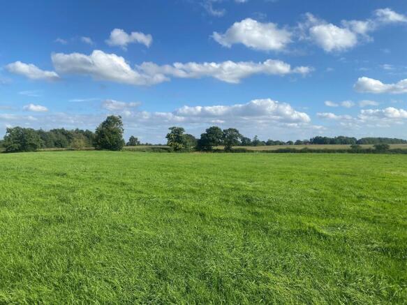 Field One 