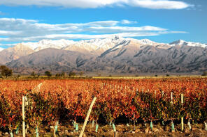 Photo of Mendoza, Uco Valley, Argentina