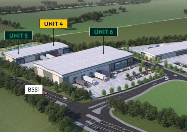 17213 BPD Elm Assets for web 4 CGI 2_v1.jpg