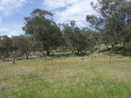 Photo of Lot 1 Bowcher Road, BENALLA 3672