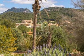 Photo of Balearic Islands, Mallorca, Felanitx