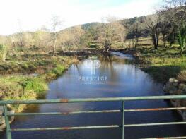 Photo of Provence-Alps-Cote d`Azur, Var, Le Lavandou