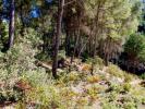 Land for sale in Balearic Islands...