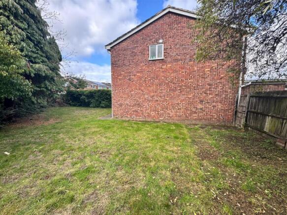 Back garden 4.jpg