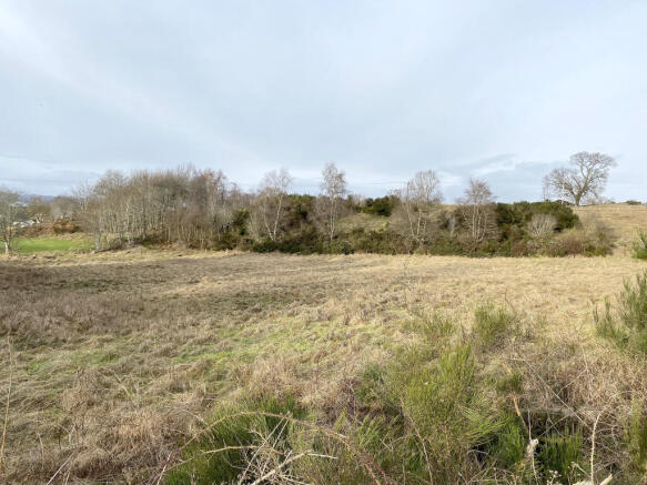 Plot site 1