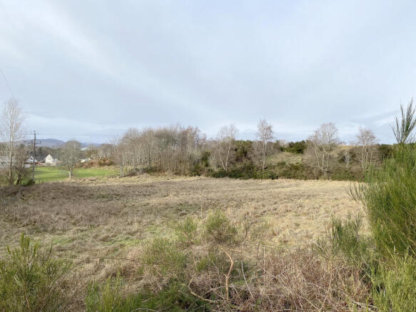 Plot site 2