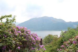 view 4