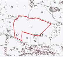 Floor/Site plan 1