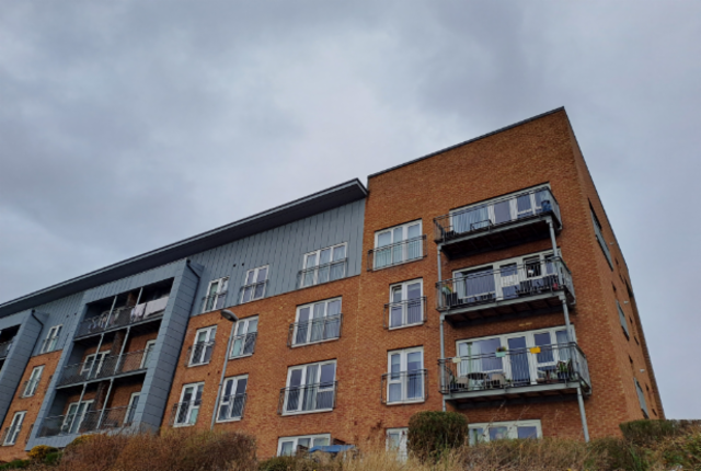 6 Ellerslie Path External