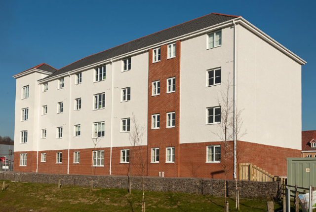 External