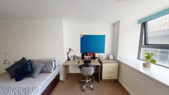 Study Area