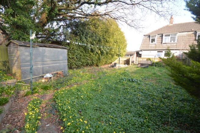 Back Garden