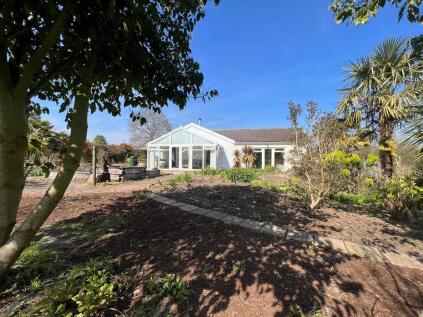 Hinton Road, Darsham