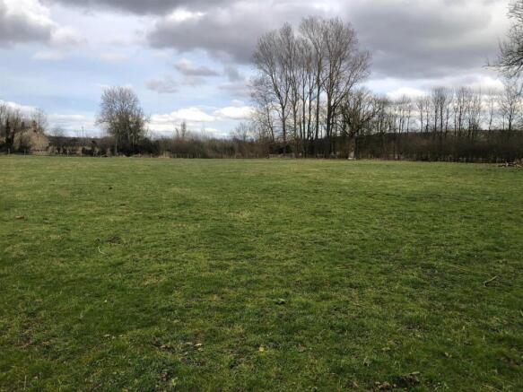 Field 2.jpg