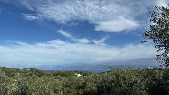 View from the plot above