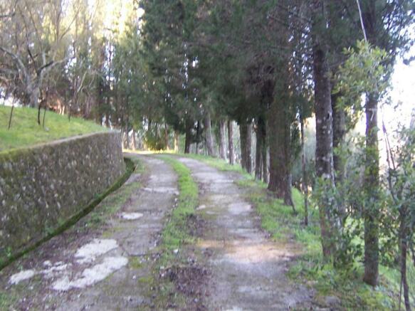 driveway to the house