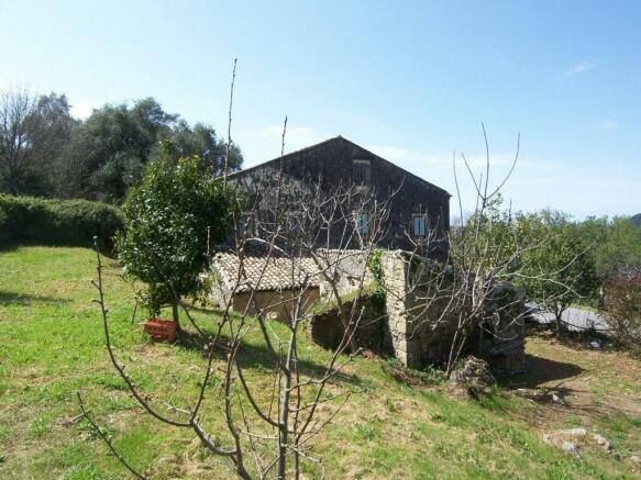 garden and building