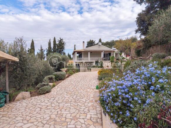 Driveway to house