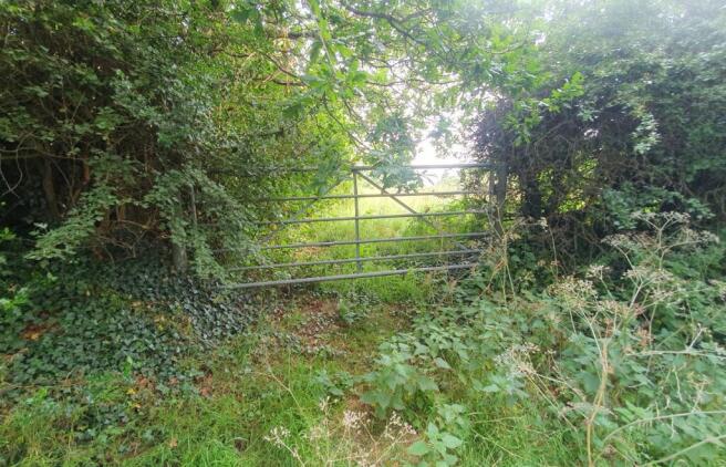 Gated Entrance off Hillwood Road