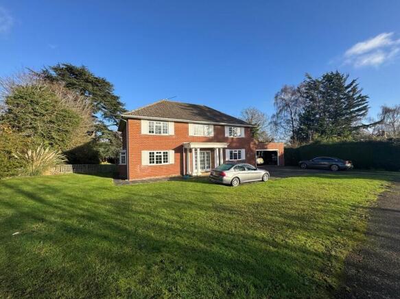 WhatsApp Image 20...