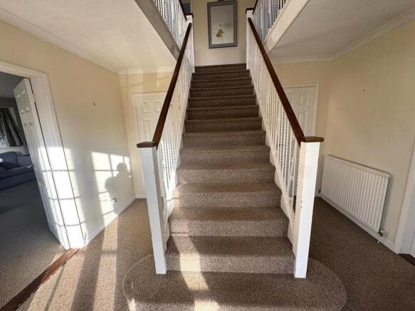 WhatsApp Image 20...