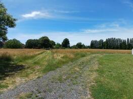 Photo of Aquitaine, Landes, Hinx