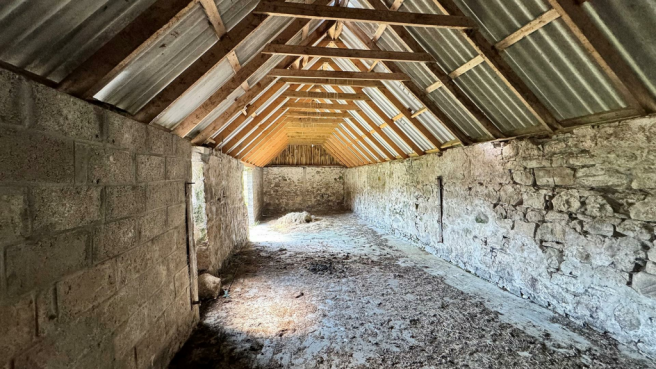inside shed.png