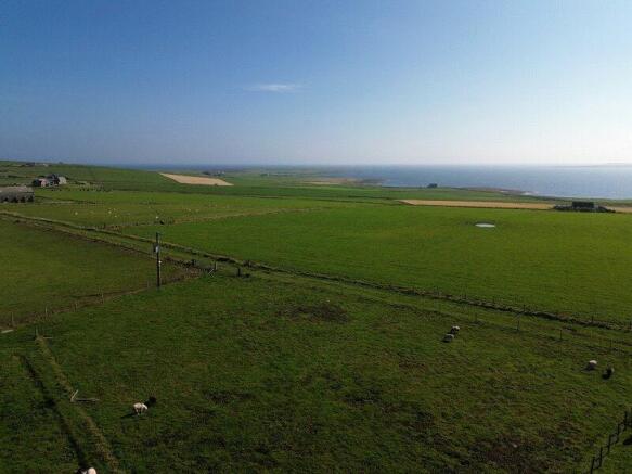 Aerial Of The Site