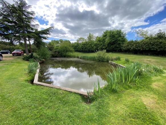 Pond.jpg