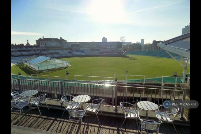 Cricket View