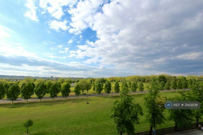 View From Window