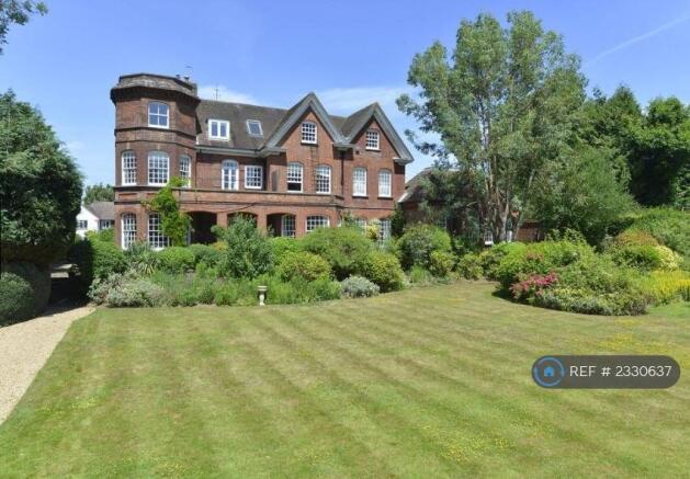 Back Garden