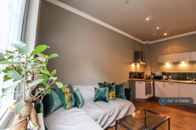 Living / Kitchen Area