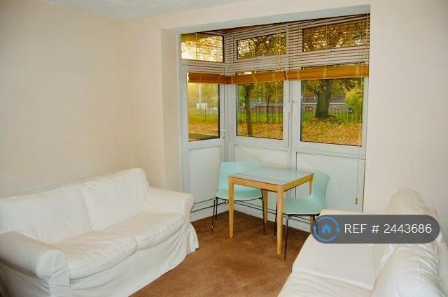 Lounge / Bedroom