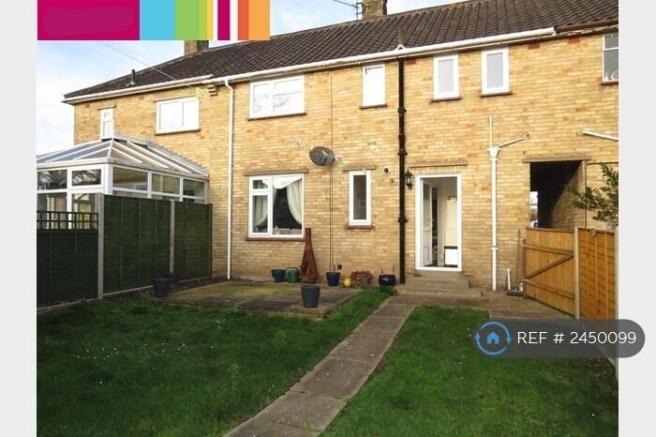 Back Garden