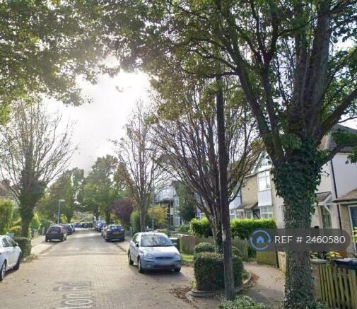 Tree Lined Street